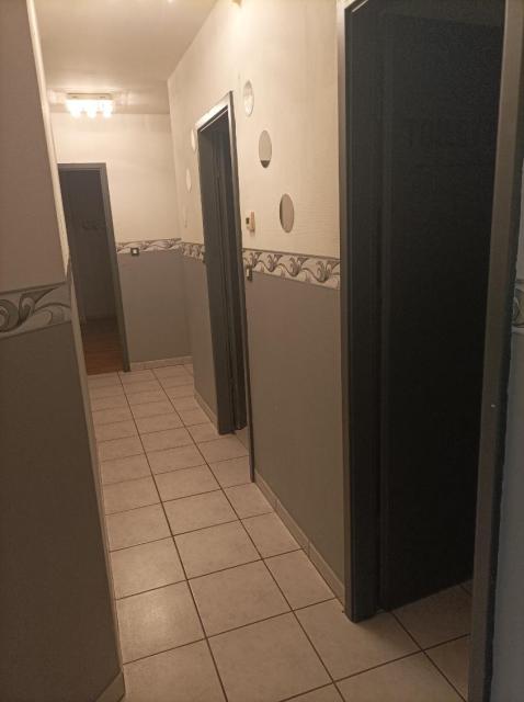 Location appartement T3 Cirey sur Vezouze - Photo 8