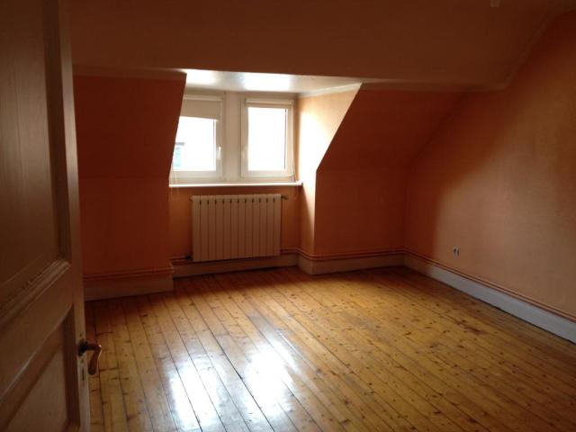 Location appartement T3 Sarrebourg - Photo 3