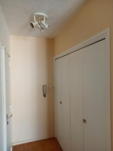 Location appartement T2 Grenoble - Photo 8