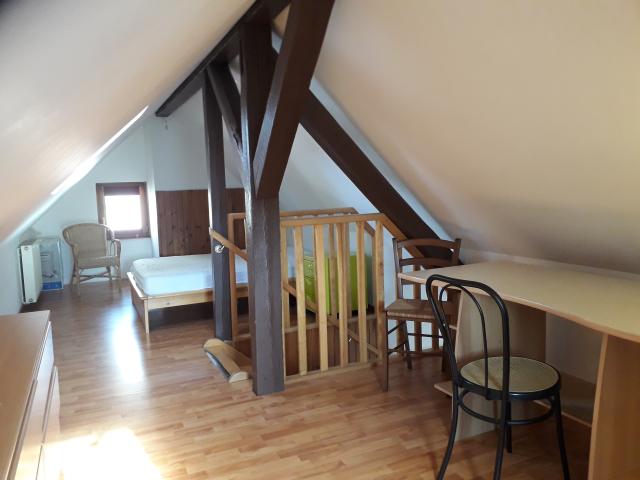 Location appartement T2 Colmar - Photo 4