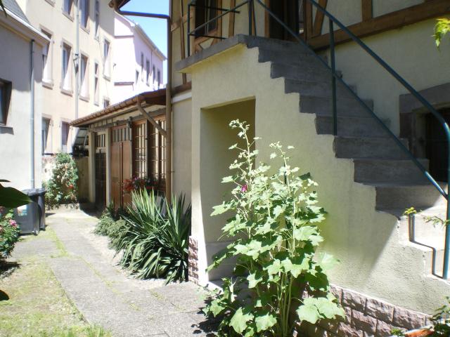 Location appartement T2 Colmar - Photo 7