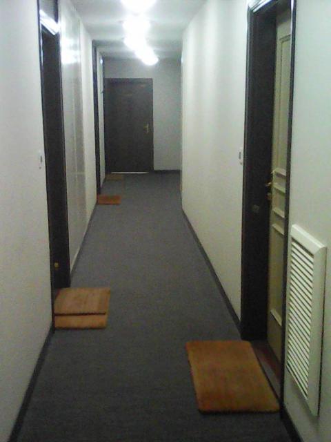 Location appartement T3 Le Perreux sur Marne - Photo 3