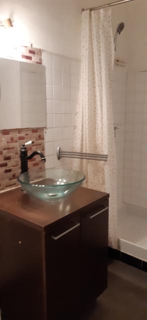 Location appartement T2 Villeurbanne - Photo 5