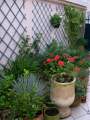 Location maison F7 Voves - Photo 3