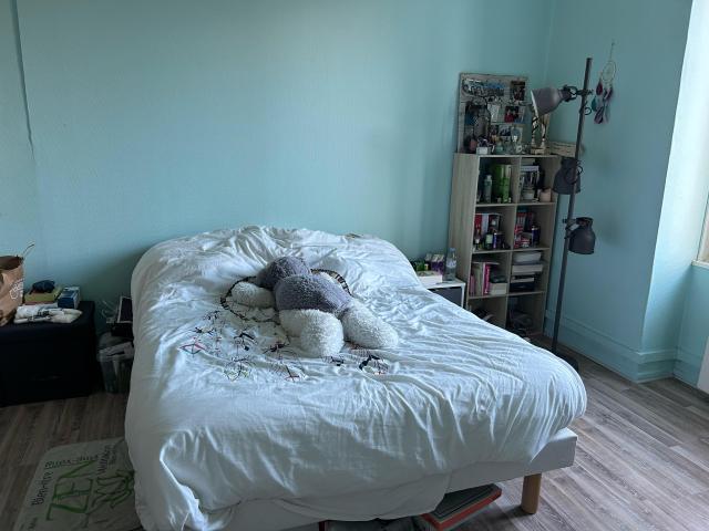 Location appartement T2 Vienne - Photo 3