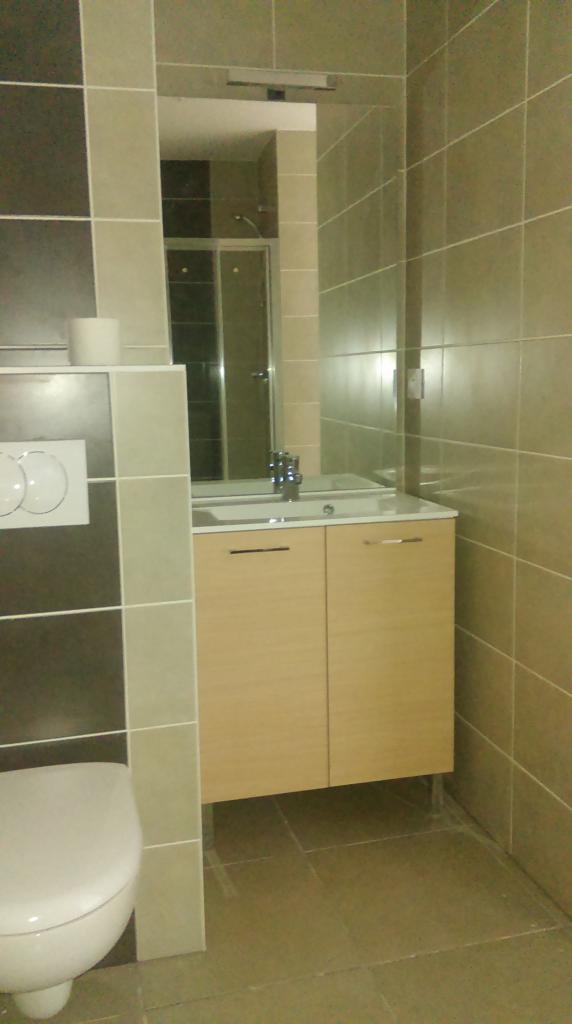 Location appartement T2 Anse - Photo 3