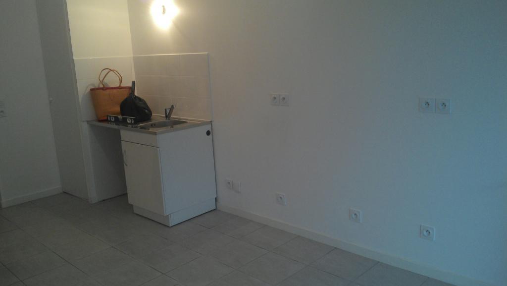 Location appartement T2 Lyon 7 - Photo 2