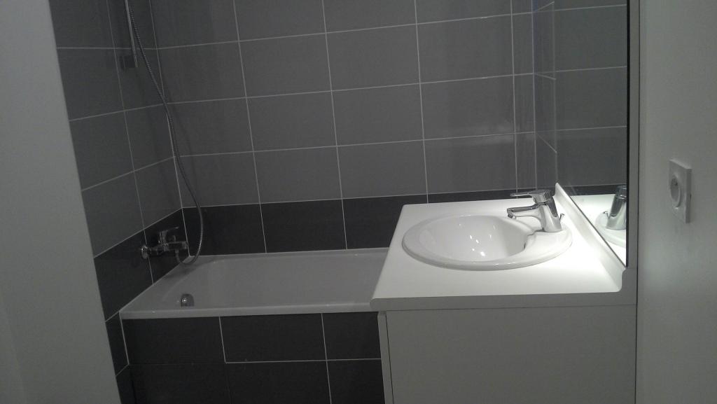 Location appartement T2 Lyon 7 - Photo 3