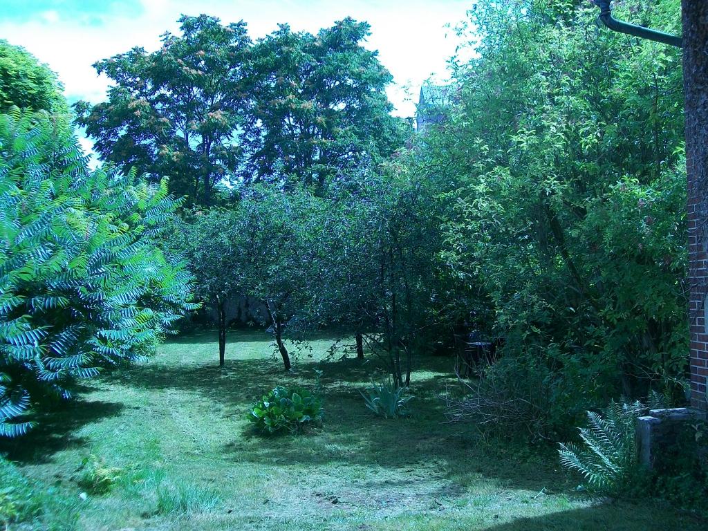 Location appartement T4 Bourges - Photo 4