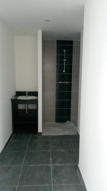 Location appartement T2 Nantes - Photo 4