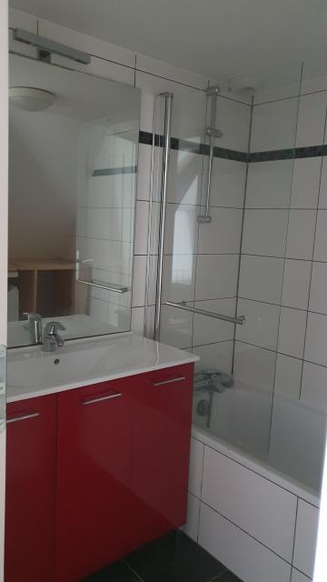 Location appartement T1 Nancy - Photo 3