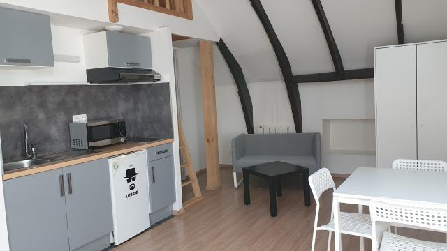 Location appartement T1 Nancy - Photo 6