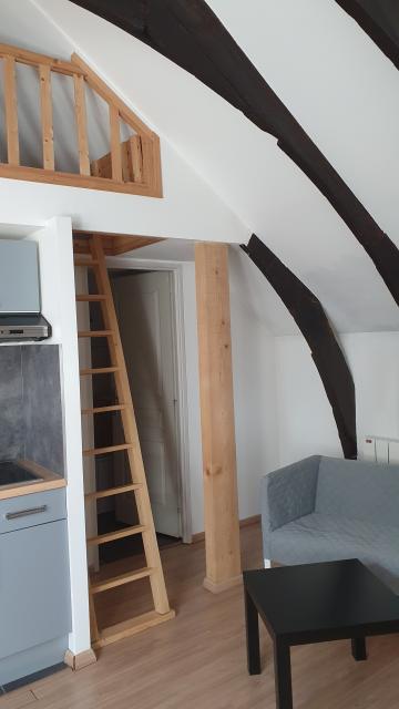 Location appartement T1 Nancy - Photo 8