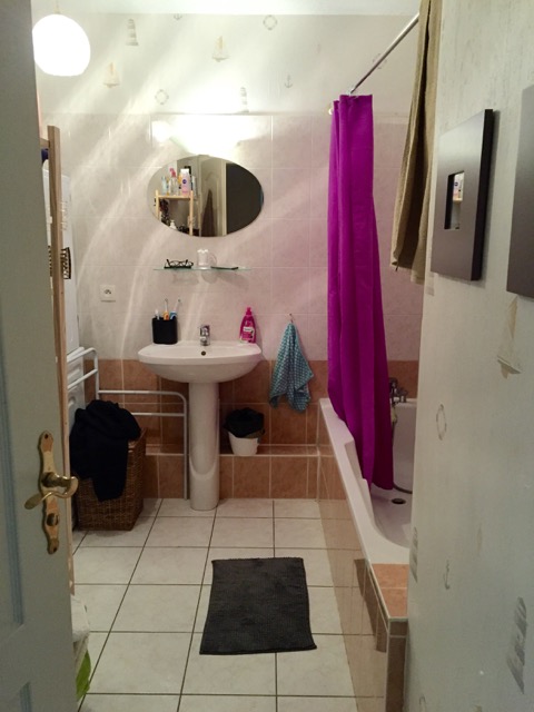 Location appartement T2 Horbourg Wihr - Photo 3