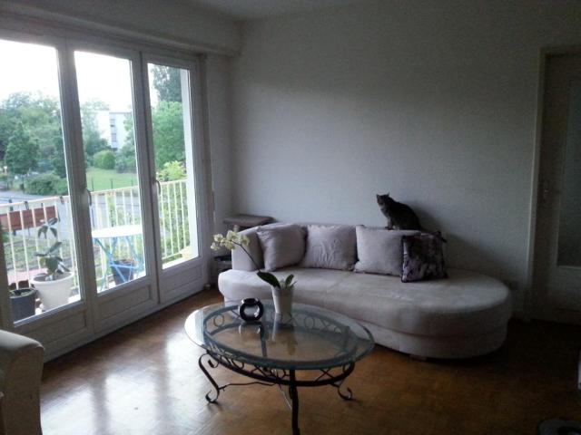 Location appartement T2 Colmar - Photo 3