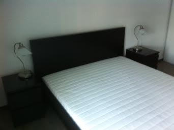Location appartement T2 Chessy - Photo 6