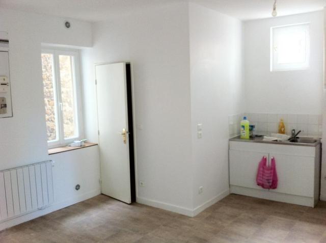 Location appartement T3 Lyon 4 - Photo 2