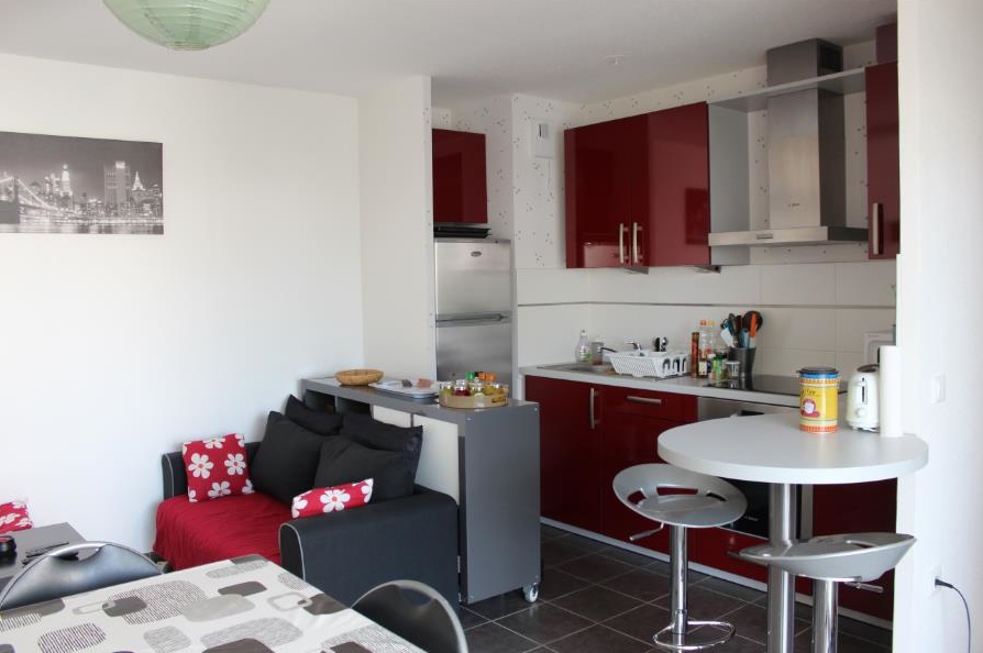 Location appartement T2 Strasbourg - Photo 3