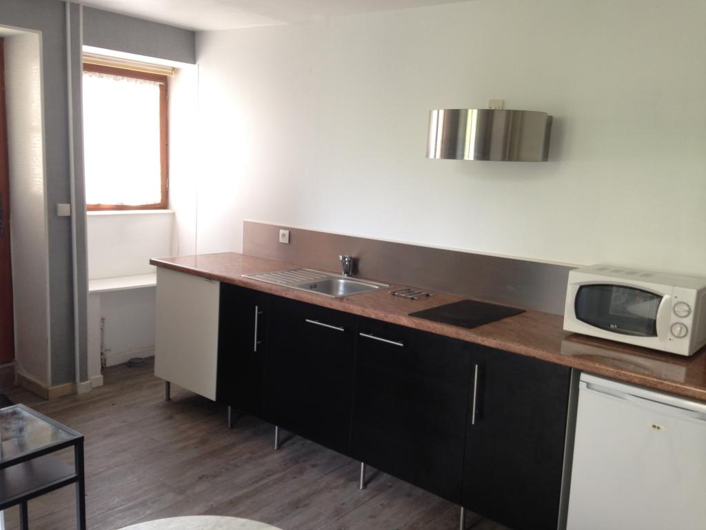 Location appartement T2 Is sur Tille - Photo 3