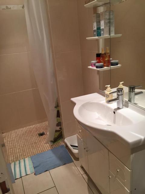 Location appartement T2 Villeurbanne - Photo 4