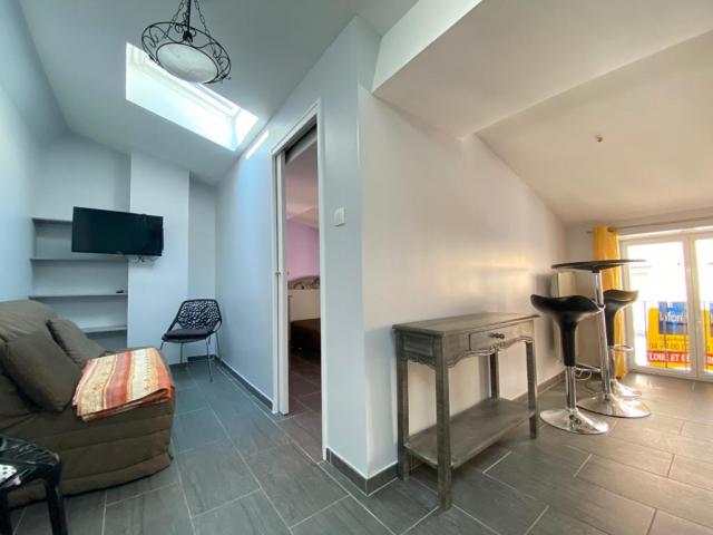 Location appartement T1 Lyon 4 - Photo 10