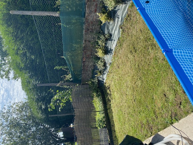 Location maison F5 Cambrai - Photo 7