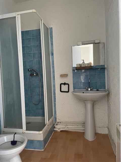 Location appartement T1 Limoges - Photo 5