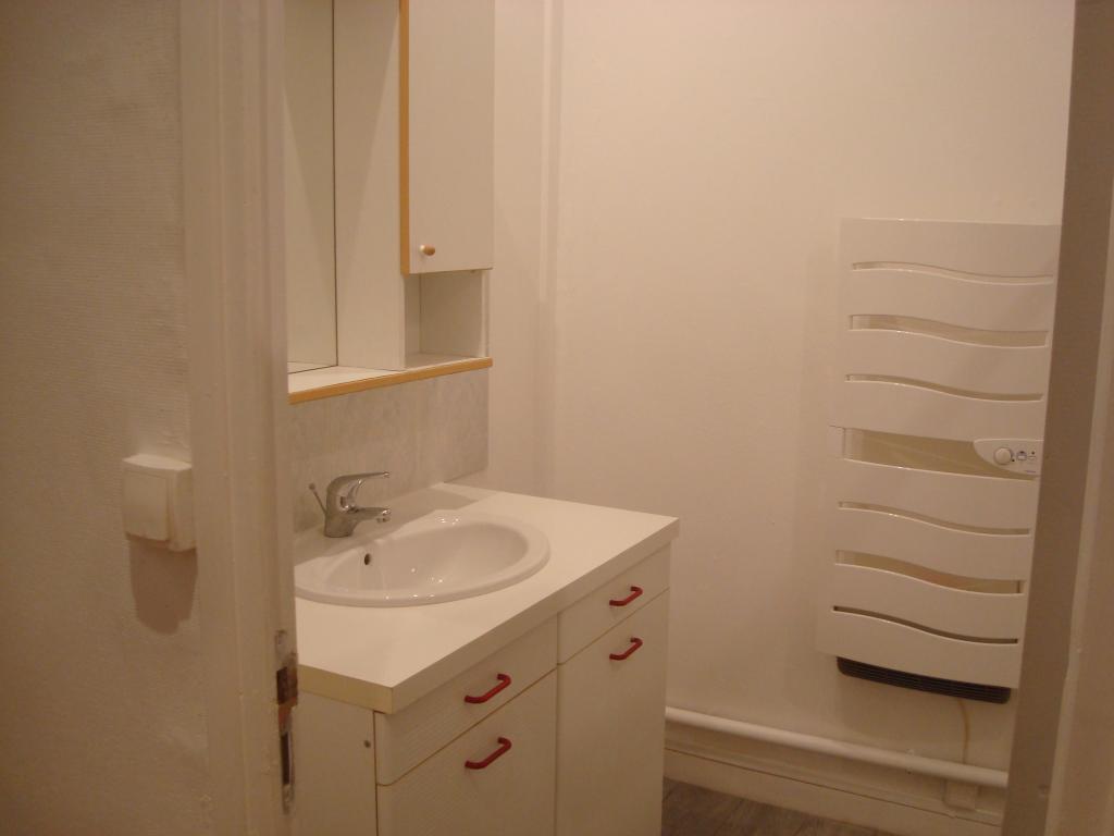 Location appartement T2 Lyon 7 - Photo 3