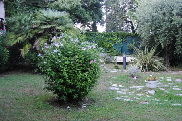 Location appartement T1 Nice - Photo 10