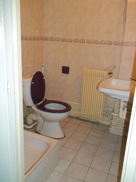 Location appartement T3 La Ricamarie - Photo 3