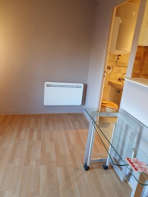 Location appartement T1 Nantes - Photo 4