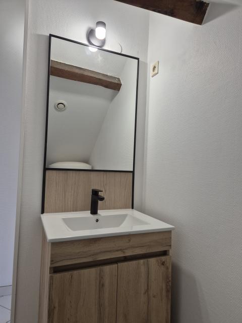 Location appartement T2 Orleans - Photo 3