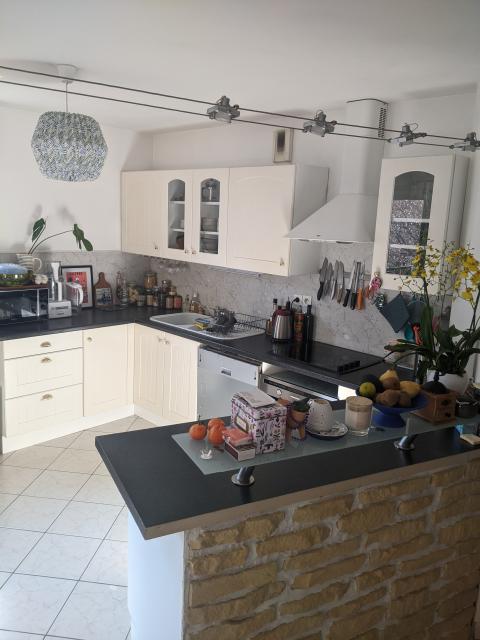 Location appartement T3 Lyon 9 - Photo 3