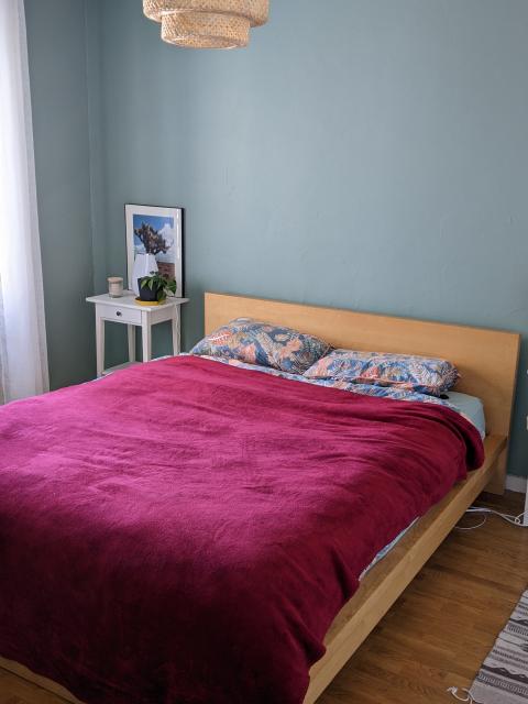 Location appartement T3 Lyon 9 - Photo 4