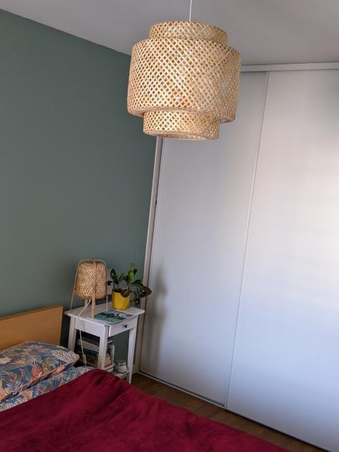 Location appartement T3 Lyon 9 - Photo 5