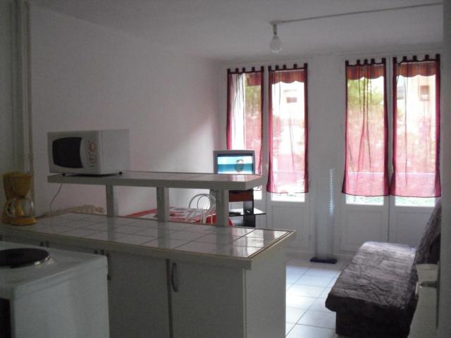 Location appartement T3 Toulouse - Photo 2