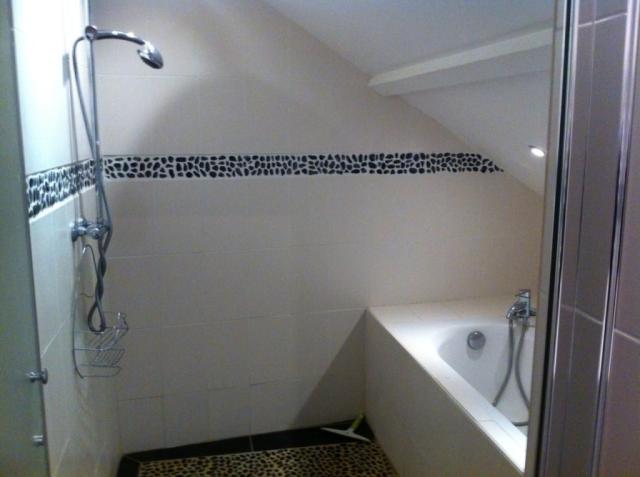 Location chambre Plailly - Photo 4