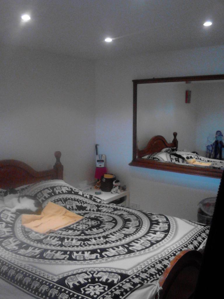 Location appartement T3 St Paul les Durance - Photo 3