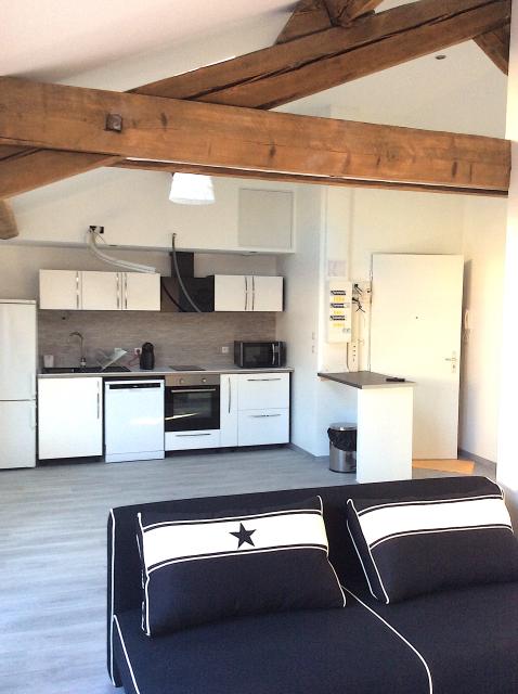 Location appartement T3 St Etienne - Photo 5