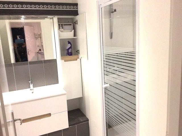 Location appartement T3 St Etienne - Photo 9