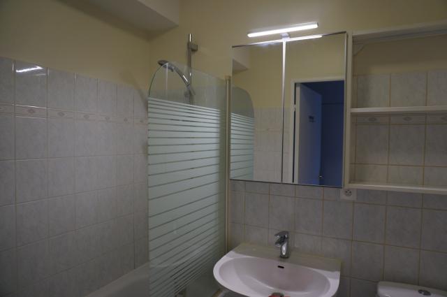 Location appartement T2 Nancy - Photo 6