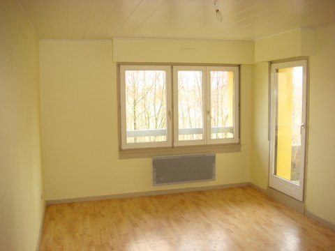 Location appartement T2 Molsheim - Photo 1
