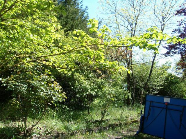 Location maison F4 St Yrieix sur Charente - Photo 3