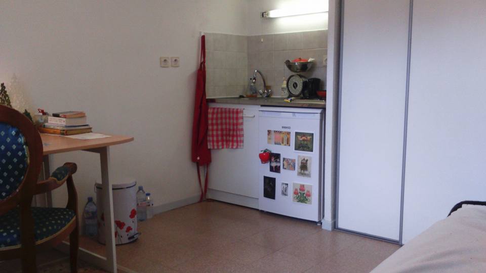 Location appartement T1 Lyon 8 - Photo 2