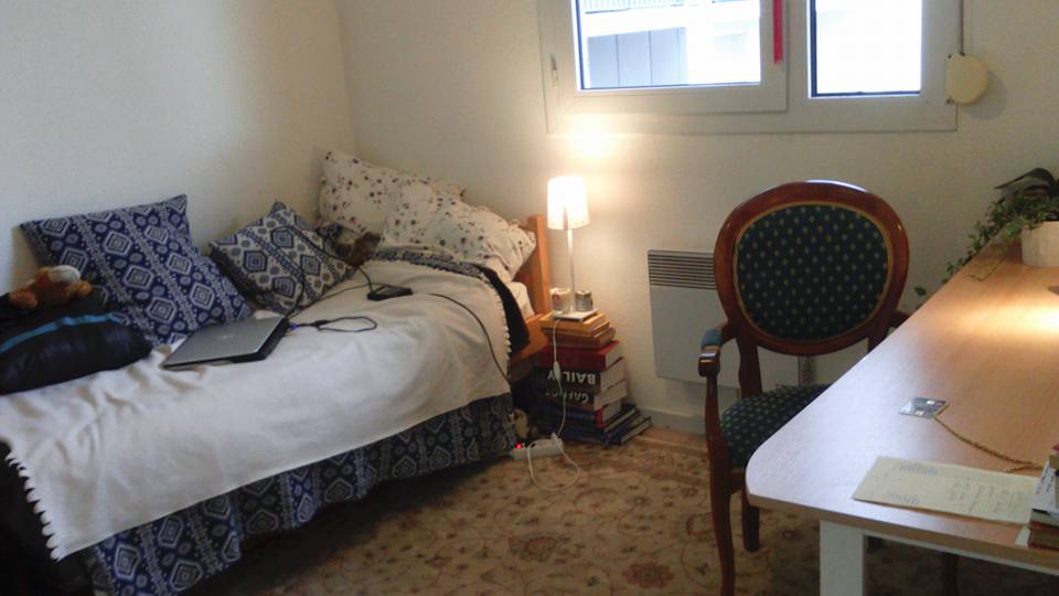 Location appartement T1 Lyon 8 - Photo 4