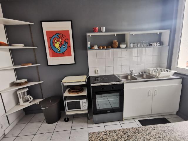 Location appartement T2 St Etienne - Photo 3