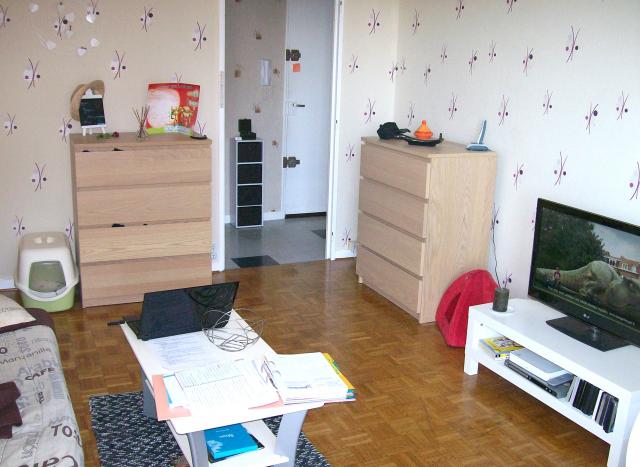 Location appartement T3 Besancon - Photo 3