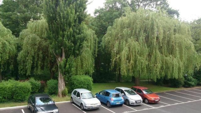 Location appartement T4 Morsang sur Orge - Photo 4