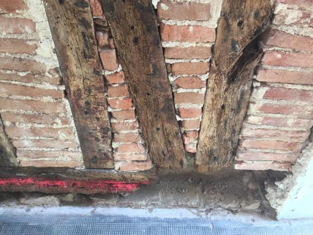 Location appartement T3 Aixe sur Vienne - Photo 2