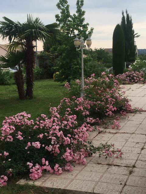 Location appartement T1 Albi - Photo 7